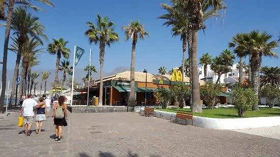 Monkey Beach Apartment Playa de las Americas  Spain