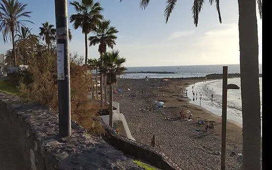 Monkey Beach Apartment Playa de las Americas  Spain